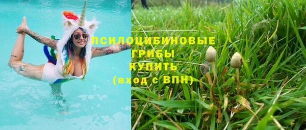 apvp Алексин